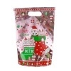 Vivid Printing Cheap Plastic Bag for Gift Packaging