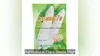 Agricultural Plant Seeds High Temp Retortable Pouch